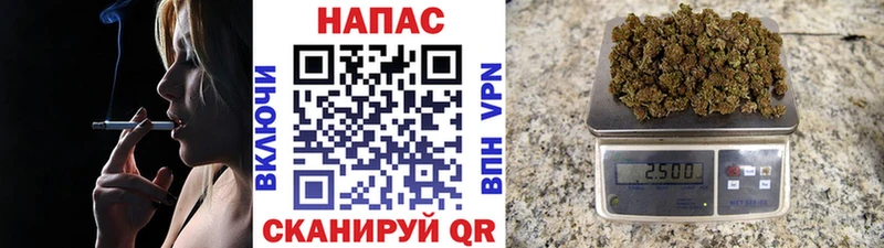 Бошки Шишки гибрид  Купить  Западная Двина 